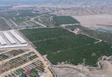 Eficaxx Grupo Inmobiliario entra al norte chico con inversión millonaria en Huaral