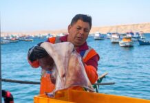 PBI Manufactura creció 3.1 % en octubre de 2025 y contribuyó con S/ 6309 millones a la economía