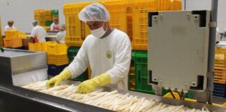 CIEN-ADEX: se incrementó en 3.4% número de empresas exportadoras