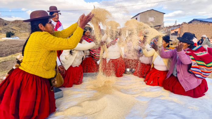 REVISTA ECONOMIA (34)