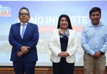 PROINVERSIÓN presenta cartera de proyectos por más de S/ 1,600 millones para impulsar el desarrollo de Puno