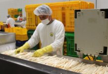 Fortalecer productividad es clave para crear mejores oportunidades laborales