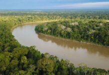 Minería ilegal en el Manu: autoridades advierten riesgo para una de las mayores reservas naturales del país