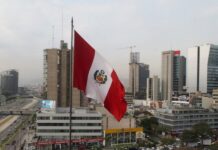 IPE: PBI creció 3.6% en octubre y empleo en Lima Metropolitana aumentó 4.2% en setiembre-noviembre, su mayor ritmo en el año