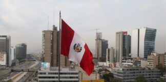 IPE: PBI creció 3.6% en octubre y empleo en Lima Metropolitana aumentó 4.2% en setiembre-noviembre, su mayor ritmo en el año