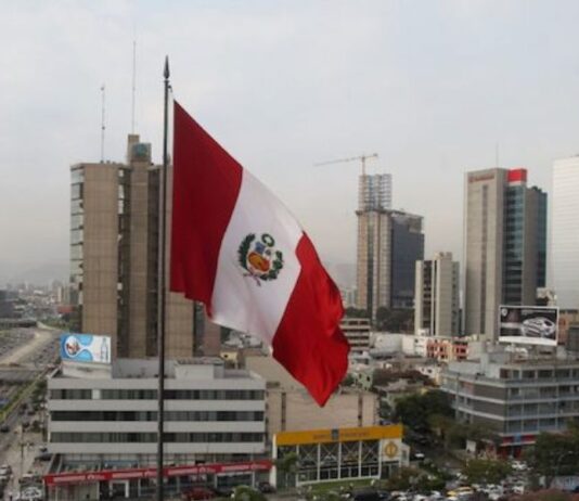 IPE: PBI creció 3.6% en octubre y empleo en Lima Metropolitana aumentó 4.2% en setiembre-noviembre, su mayor ritmo en el año