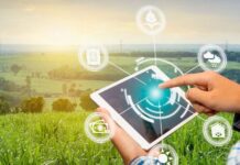 La Inteligencia Artificial y la Robótica: el nuevo cerebro de la producción agropecuaria.