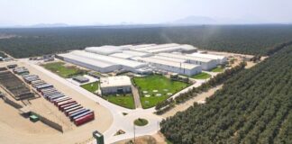 Nuevo trazo de la carretera de Aserradero entra en fase de construcción tras aprobación del MTC