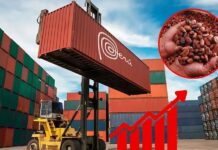 Perú entra al Top 4 de exportaciones en América Latina