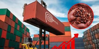 Perú entra al Top 4 de exportaciones en América Latina