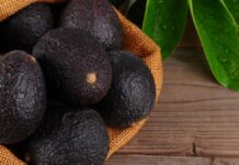 ADEX: Exportaciones peruanas crecieron 20% entre enero y octubre