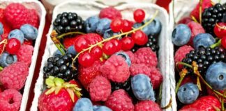 México busca consolidarse como potencia global en berries en medio de una temporada compleja