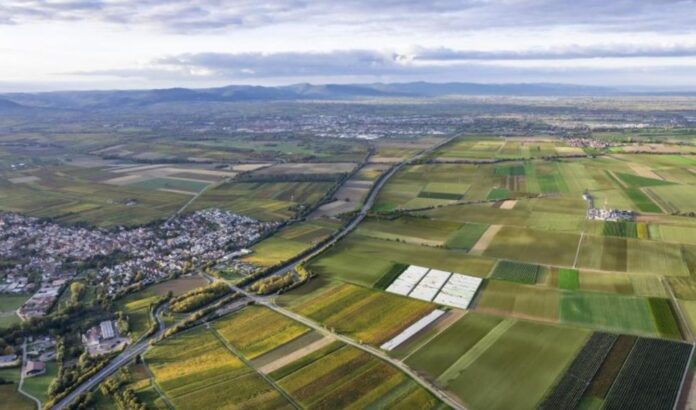 WEB_MEDIOS - 2025-12-03T164833.497