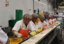 Empleos directos asociados a las exportaciones crecieron 1.8%