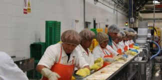 Empleos directos asociados a las exportaciones crecieron 1.8%