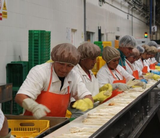 Empleos directos asociados a las exportaciones crecieron 1.8%