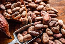 Cómo la agricultura familiar del Perú logra abrirse paso hacia mercados globales de alto valor