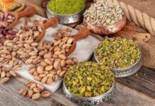 Argentina impulsa el boom global del pistacho con proyectos que prometen altos retornos