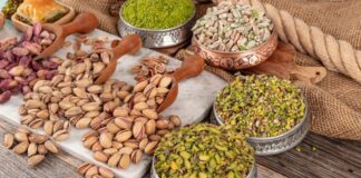 Argentina impulsa el boom global del pistacho con proyectos que prometen altos retornos
