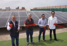 Parque Pisco primero en su ciudad en implementar un sistema fotovoltaico de más de 800 paneles solares