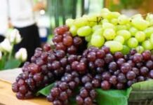 Estados Unidos impulsa el boom de la uva de mesa premium en el comercio mundial