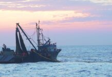 Las Áreas Marinas Protegidas pueden convivir con la pesca sostenible sin impactar su conversación