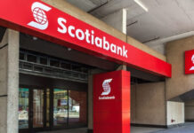 Scotiabank: crédito directo moderaría su crecimiento debido a las amortizaciones asociadas al retiro de AFP Scotiabank