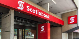 Scotiabank: crédito directo moderaría su crecimiento debido a las amortizaciones asociadas al retiro de AFP Scotiabank