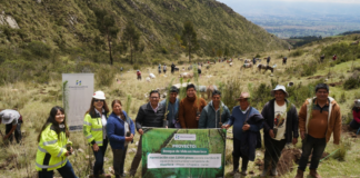 Electrocentro, como parte Del Grupo Distriluz, impulsa 11 proyectos estratégicos en su plan de sostenibilidad 2026