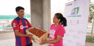 MIDAGRI: Estrategia comercial abrirá el mercado de comedores populares de Lima a productores organizados