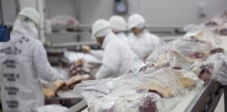 China endurece el acceso a su mercado de carne y fija aranceles del 55% a exportadores sudamericanos