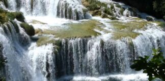 América Latina concentra una de las mayores reservas de agua dulce del planeta bajo cuatro países clave