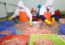 Sanipes prepublica reglamento de sanciones para fortalecer el cumplimiento de normas de inocuidad hidrobiológica