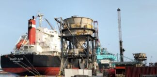Un arribo sin precedentes marca un nuevo récord para el comercio de granos en el Perú