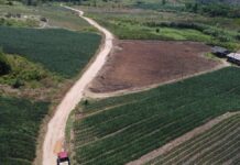 Segrafruit acelera su expansión regional con nuevas oficinas en Centroamérica