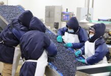 Exportaciones impulsan empleo formal y superan el millón y medio de puestos en 2025