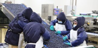Exportaciones impulsan empleo formal y superan el millón y medio de puestos en 2025