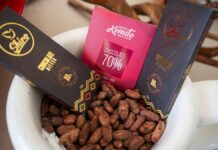 El cacao peruano alcanza una marca histórica y redefine su peso en el comercio exterior