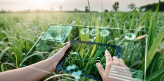 SAP y Syngenta anuncian alianza para escalar la agricultura asistida por IA