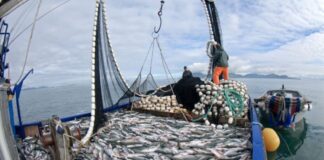 La desaceleración de noviembre revela el peso de los sectores primarios en la economía peruana