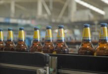 Crisis cervecera en Argentina: reconversión como única salida ante caída del consumo