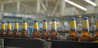 Crisis cervecera en Argentina: reconversión como única salida ante caída del consumo