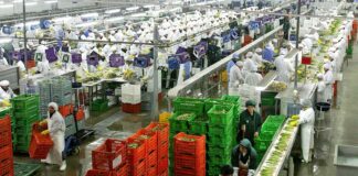 Agroexportaciones peruanas en récords, pero El Niño y elecciones generan alerta