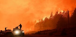 El drama de la Patagonia: Vecinos y bomberos arriesgan todo para salvar sus tierras del fuego