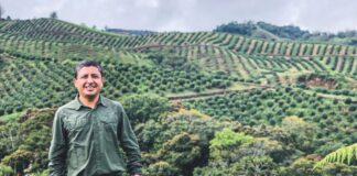 Westfalia Colombia apuesta por la palta y consolida su origen competitivo