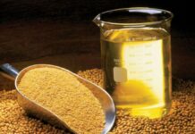 Un giro en el comercio global de aceites redefine el vínculo entre Argentina e India