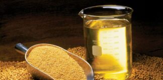 Un giro en el comercio global de aceites redefine el vínculo entre Argentina e India