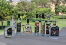 Sector vitivinícola y de bebidas espirituosas brinda con un crecimiento del 10% en exportaciones