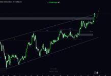 2026 no admite complacencia, los mercados entran en una fase de ajuste estructural