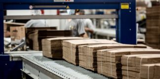 TRUPAL cierra 2025 con un 10% de crecimiento en ventas y récords históricos de producción, consolidando su rol clave en la agroexportación